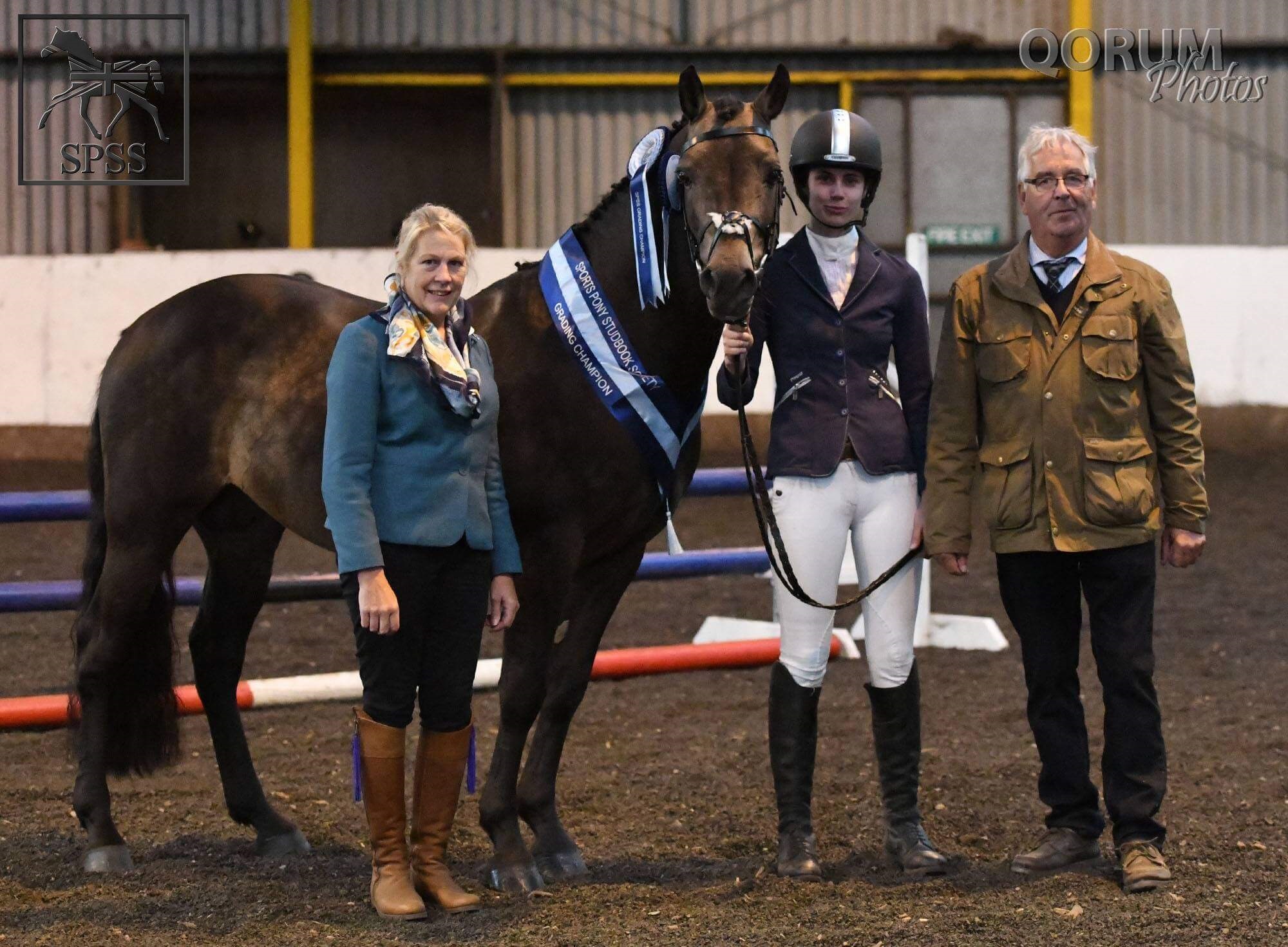 Expat Morgans leading sport stud farm in Europe